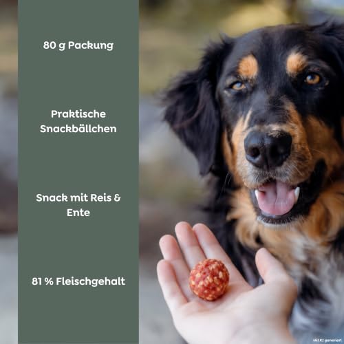 TRIXIE Hundeleckerli Premio Balls mit Ente & Reis, proteinreich – 80 g