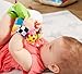 Lamaze Gardenbug - Baby Foot Finder Socks & Wrist Rattle Set - Sensory Development Toys - Newborn Baby Essentials