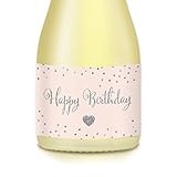 Lady's Gift Ideas for Woman's Surprise Birthday Party, Decals & Decorations, 20 Count 3.5' x 1.75' 'Pony' Mini Champagne, Wine Bottle Labels, Celebrate BFF, Sister, Fiancée, Spouse, Girlfriend B-day