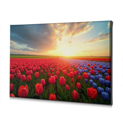Toile coucher de soleil tulipes 40x60 pour mur sans lumière
