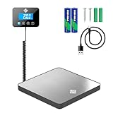 Bilancia Professionale - 200 kg/10 g - Bilancia Pesa Pacchi Alta Precisione con Funzione Hold/Tara - Perfetta per Pacchi, Bagagli, Uso Industriale - Batteria e cavo inclusi - Argento