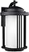 Seagull 8747901-12 One Light Outdoor Wall Lantern, 15 inch, Black -  Generation Lighting