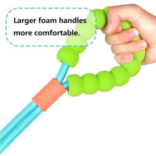 Quick Release Metal Clip Dog Leash