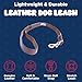 Genuine Leather Braided Dog Leash | Top Grain Oiled and Tanned Leather | Multiple Lengths and Widths | Matching Collars Available | Award Winning |Official Angel Pet Supplies (Brown, 2' X 3/4