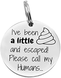 Personalised Engraved Dog ID Tag, Cat Name Tag, Stainless Steel Custom Pet Name Tag