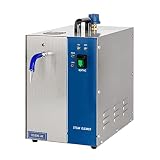 ERSINIAN Pulitore a Vapore per Gioielli 2100W - Lavatrice e vaporiera Professionale per la Pulizia...