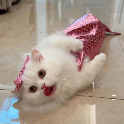 Disfraz de perro y gato con cola marina cómoda que no se cae 7