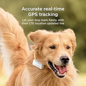 Petcube GPS Tracker for Dogs | Pet GPS Location Tracker with Escape Alerts and Virtual Fences, Activity and Wellness Monitoring, Glows in a Dark, Water and Dust Proof Petcube GPS Tracker for Dogs | Pet GPS Location Tracker with Escape Alerts and Virtual Fences, Activity and Wellness Monitoring, Glows in a Dark, Water and Dust Proof