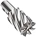 YG-1 E2042 Cobalt Steel Square Nose End Mill, Weldon Shank, Uncoated (Bright) Finish, 30 Deg Helix, 6 Flutes, 5.5" Overall Length, 1.25" Cutting Diameter, 1.25" Shank Diameter