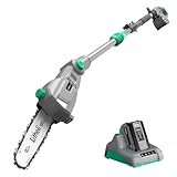 Litheli Cordless Pole Saw, 40V 2.5Ah Battery Pole Saws for Tree Trimming, 10-Inch Pole Saw Battery Powered 16ft/s Cutting Speed Auto Oiling Multi-Angle Electric Pole Chainsaw(Battery&Charger Included)