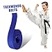 BESPORTBLE Karate Belt Taekwondo Belt Martial Arts Equipment Training Waist Band Comfortable Lightweight Portable