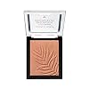 wet n wild Color Icon Bronzer Powder Ticket to Brazil