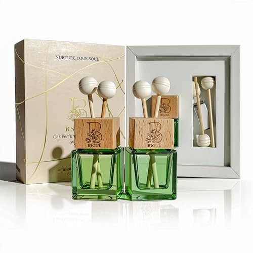 Image of BSOUL Lemongrass Car Air Vent Clip 8ml Pack Of 2 | Natural Fresh Citrus Aroma | Long-Lasting AC Vent Car Perfume | Stress Relief, Mood Booster & Mosquito Repellent | Premium Liquid Fragrance (Green)