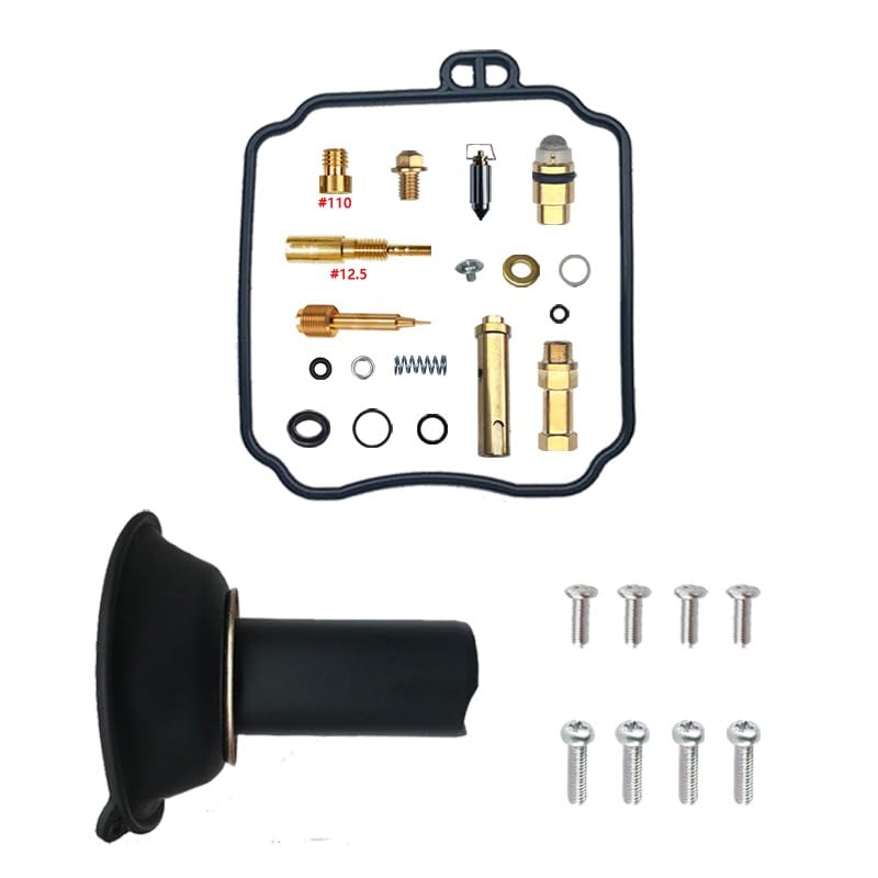 Kit réparation carburateur XVS250 V-Star avec pointeau et gicleurs complets