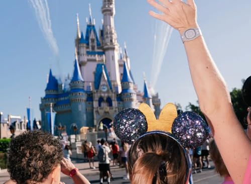 The Price of Magic: Disney's Tiered System and the Middle Class cover art