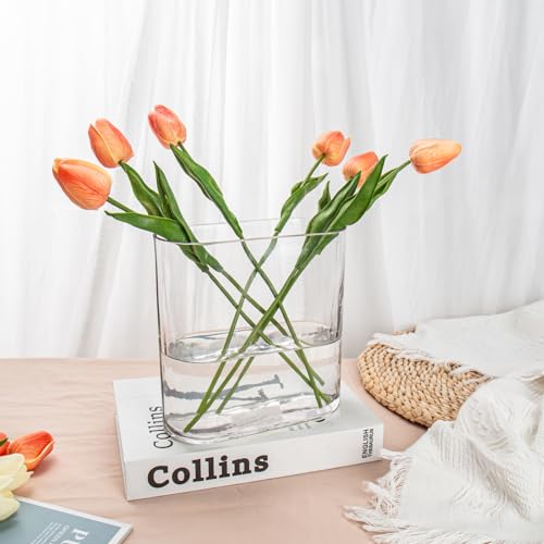 Oairse Clear Glass Vase 18CM Modern Oblong Centerpiece for Flowers - Decorative for Living Room, Dining Table, Wedding, Home and Party - Cosy Home Interiors Oairse Clear Glass Vase 18CM Modern Oblong Centerpiece for Flowers - Decorative for Living Room, Dining Table, Wedding, Home and Party - Image 6