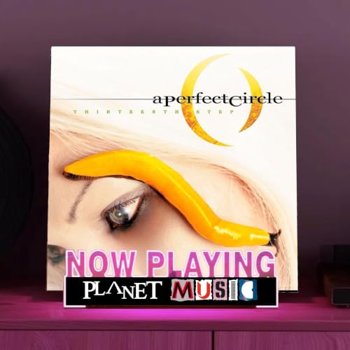 34. A Perfect Circle - Thirteenth Step - Clever Got Me This Far....