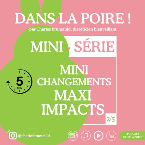 『MINI CHANGEMENTS = MAXI IMPACTS : LE MOUVEMENT (2/5)』のカバーアート