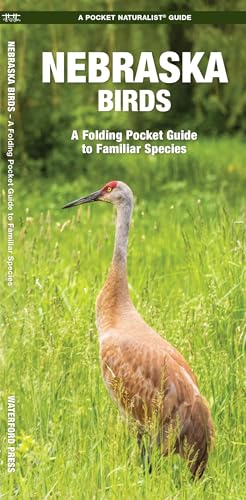 Nebraska Birds: An Introduction to Familiar Species (Nature Observation North America)