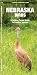 Nebraska Birds: A Folding Pocket Guide to Familiar Species (A Pocket Naturalist Guide)
