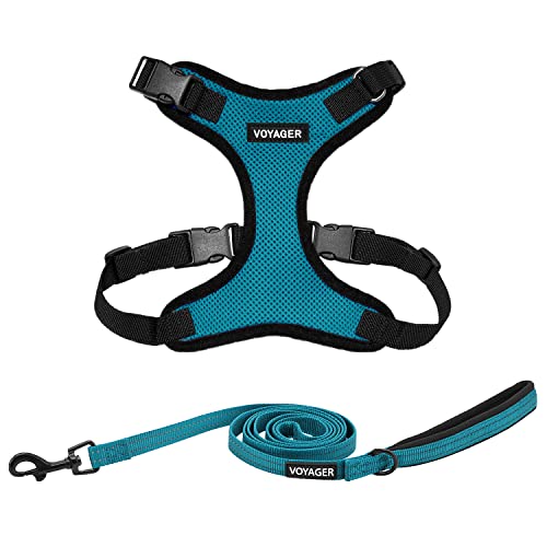 Voyager Step-in Lock Dog Harness w Reflective Dog Leash Combo Set including Neoprene Handle 5ft, Supports Small