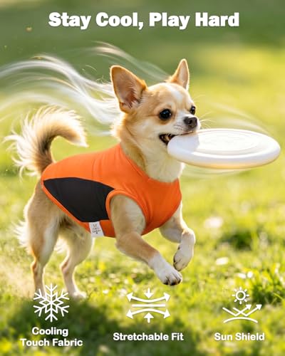 Image of CuteBone Cooling Stretch Sport Dog Tank - Athletic Fan Pet Jersey - Color Block Pet Vest for Small Dogs, Cats