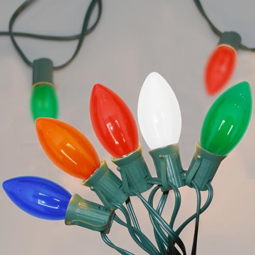 SUNSGNE C9 LED Christmas Lights Outdoor 25FT Multicolor String Lights with 27 0.6W LED Plastic Bulbs(2 Spare) for Patio Garden Roofline Backyard Décor, Green Wire