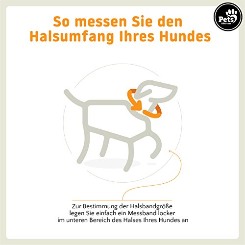 Pets&Partner® Guinzaglio in Neoprene