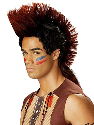 California Costumes Men's Indian Warrior Wig, Auburn/Black, One Size