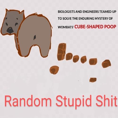 Random Stupid Shit cover art