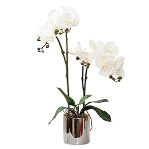 CXGS Artificial Orchid Flower Plant Real Touch Faux Orchids in Ceramic Vase White 197 Fake Phalaenopsis Flower Arrangement Centerpiece Home Indoor Decor