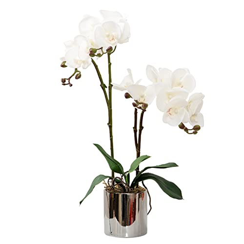 CXGS-Artificial-Orchid-Flower-Plant-Real-Touch-Faux-Orchids-in-Ceramic-Vase-White-197-Fake-Phalaenopsis-Flower-Arrangement-Centerpiece-Home-Indoor-Decor CXGS Artificial Orchid Flower Plant Real Touch Faux Orchids in Ceramic Vase White 197 Fake Phalaenopsis Flower Arrangement Centerpiece Home Indoor Decor