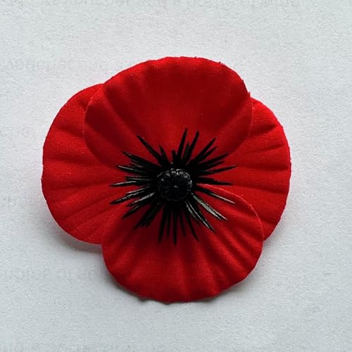 Aussies pause and reflect our servicemen and women on Anzac Day