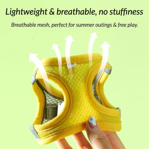 Image of Escape Proof Rabbit Harness and Leash Set Breathable Mesh Vest (Green,XL)