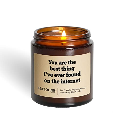 Hatoune Vanilla & Chestnut Scented Soy Candle, You Are The Best Thing I've Ever Found On The Internet, Made In Usa, 20-25 Hour Burn Time, 3.4 Oz Amber Jar #TOP15