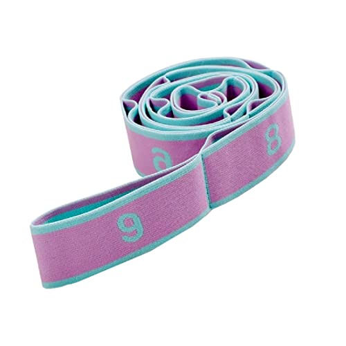 xingmo - xingmo Stretch Strap Latin Dance Resistance Bands Pilates Yoga Elastic Stretching Belt (light purple)