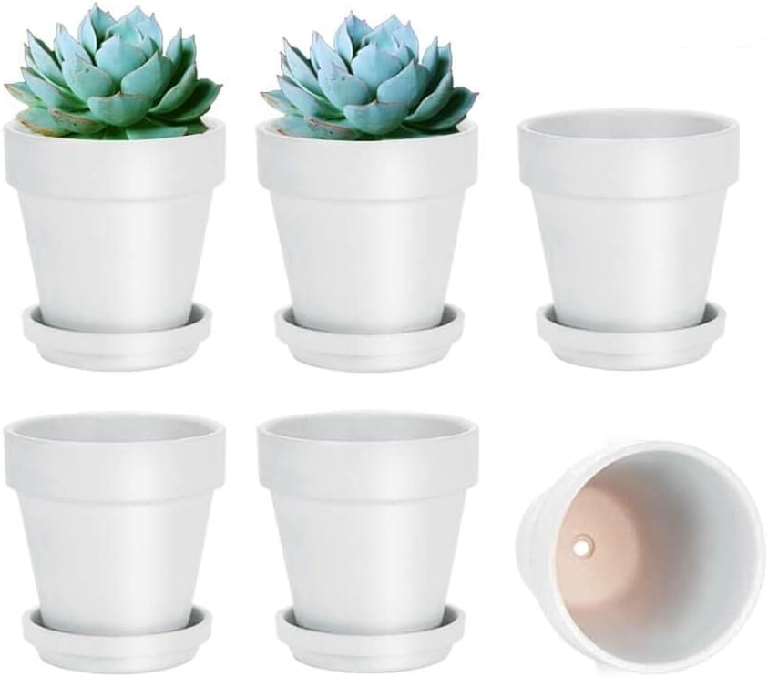 vensovo White Terracotta & Clay Pots with Saucer - 6 Pack 5 Inch Terra Cotta Pot Ceramic Pottery Planter Cactus Flowerpots Drainage Hole, Great for Plants, Crafts and Wedding Favor