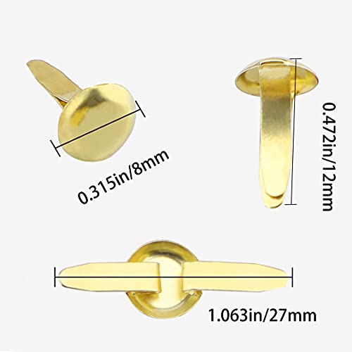 image for AIEX 600pcs Metal Brads Paper Fasteners Round Brass Fasteners Split Pi