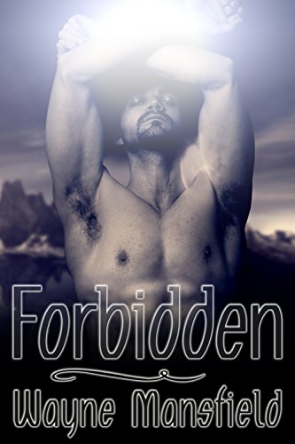Forbidden view 2