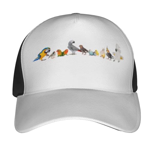 �ʔ��� �C���R �� ���� �I�E�� (1) �����Y�X�q �������L���b�v ���߉\�� �ʋC�� �y�� ���悯 �A�E�g�h�A�L���b�v �싅�X ���O���h�~ �t�ďH�~ �X�q �j�����p DF4GH377