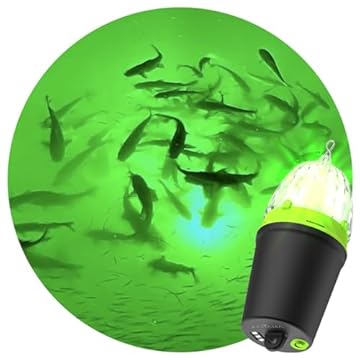 smart fishing light
