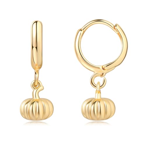 Gold Dangle Drop Huggie Hoop Pendant Earrings with Dainty Small Charms for Women