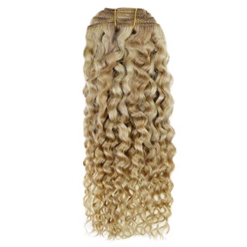 Clip in Hair Extensions Real Remy Human Hair #12 Light Golden Brown and #613 Bleach Blonde 16 Inch 7pcs 100g Natural Wavy Full Head Hair Extensions