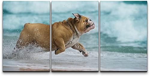 wall26 - 3 Piece Canvas Wall Art - Happy Dog Bulldog Running at The Sea - Modern Home Art Stretched and Framed Ready to Hang - 16"x24"x3 Panels