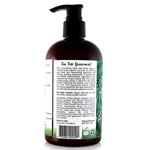 Coco Fiji Face & Body Lotion Infused With Coconut Oil | Lotion For Dry Skin | Moisturizer Face Cream & Massage Lotion For Women & Men | Tea Tree Spearmint 12 Oz, Pack Of 1 #TOP1