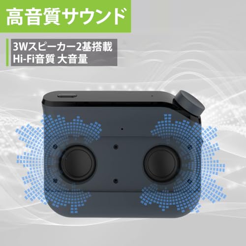 Avantree Roadtrip - 車用Bluetoothスピーカー＆ワイヤレスFMトランスミッターキット 2-in-1、携帯電話のオーディオを車のスピーカーにストリーミング、ハンズフリー6Wスピーカー、内蔵マイク、最大22時間の再生時間