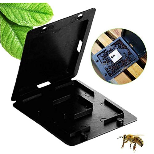 YepYes Beehive Beetle Falle schlagfestem Kunststoff Bienenzucht Beetle Collector Falle Kleine Beutenkäfer-Trap-Fall… – Bild 3