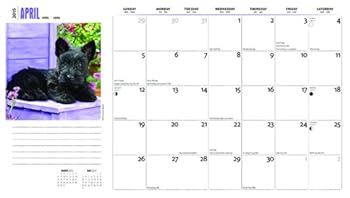Calendar I Love Puppies 2015 Monthly Personal Planner Book