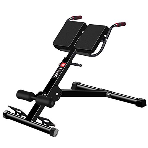 DLT Roman Chair Rückentrainer Hyperextensions-Übung