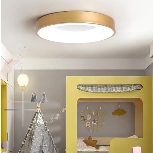 TZSMUM Moderna Plafon LED Techo Regulable